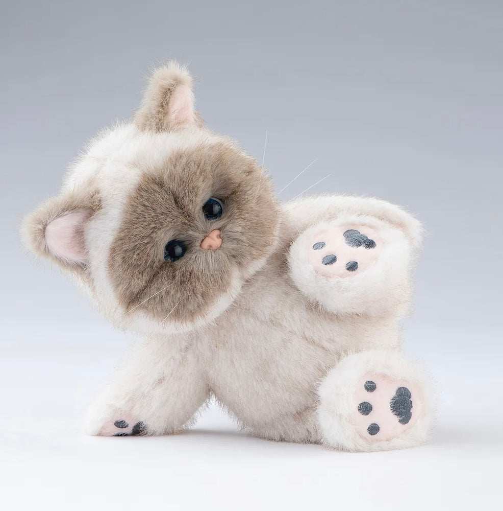 20 cm whipped cream kitten